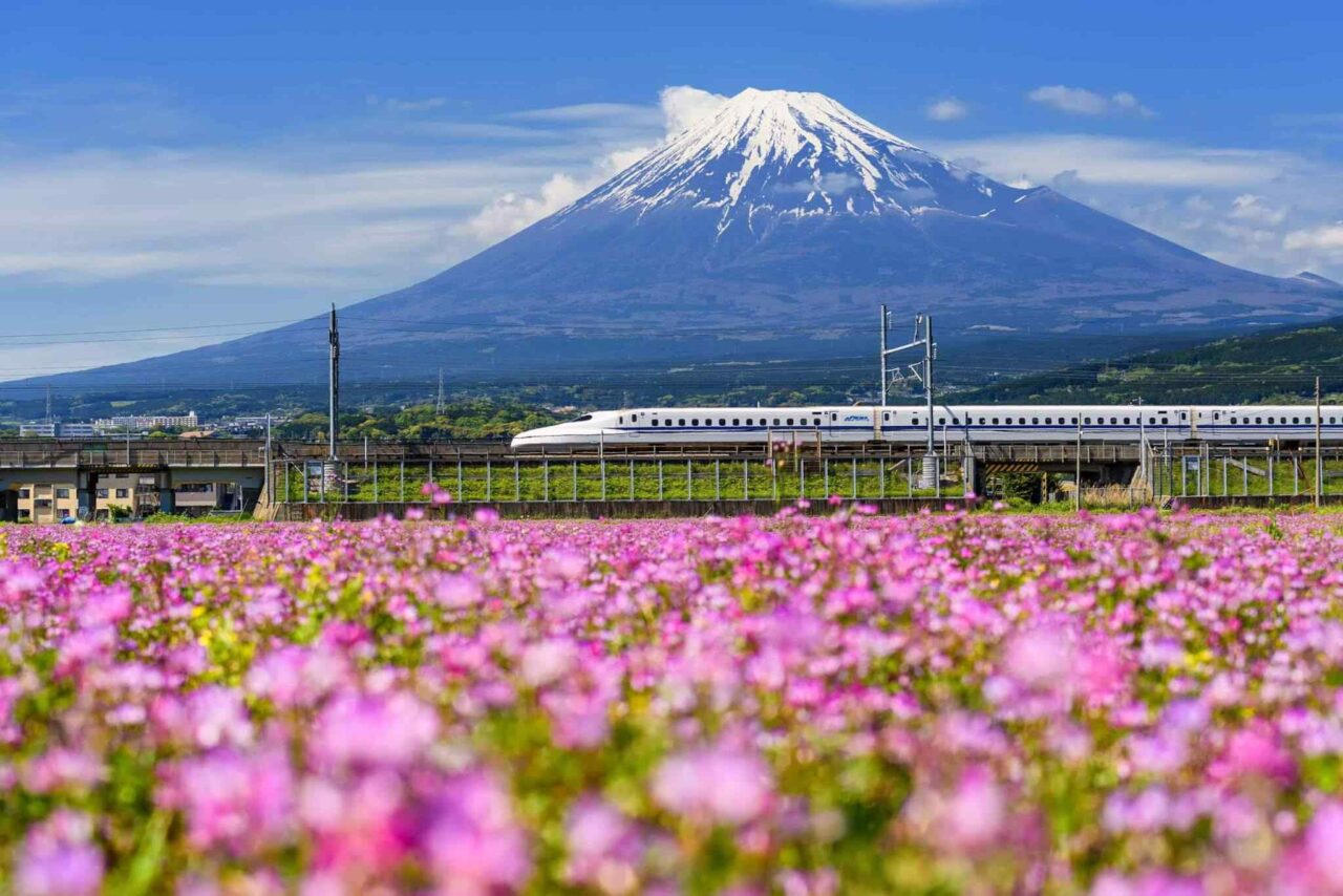 https://cevextravelexpert.com/wp-content/uploads/2018/09/tour-osaka-04-1280x854.jpg