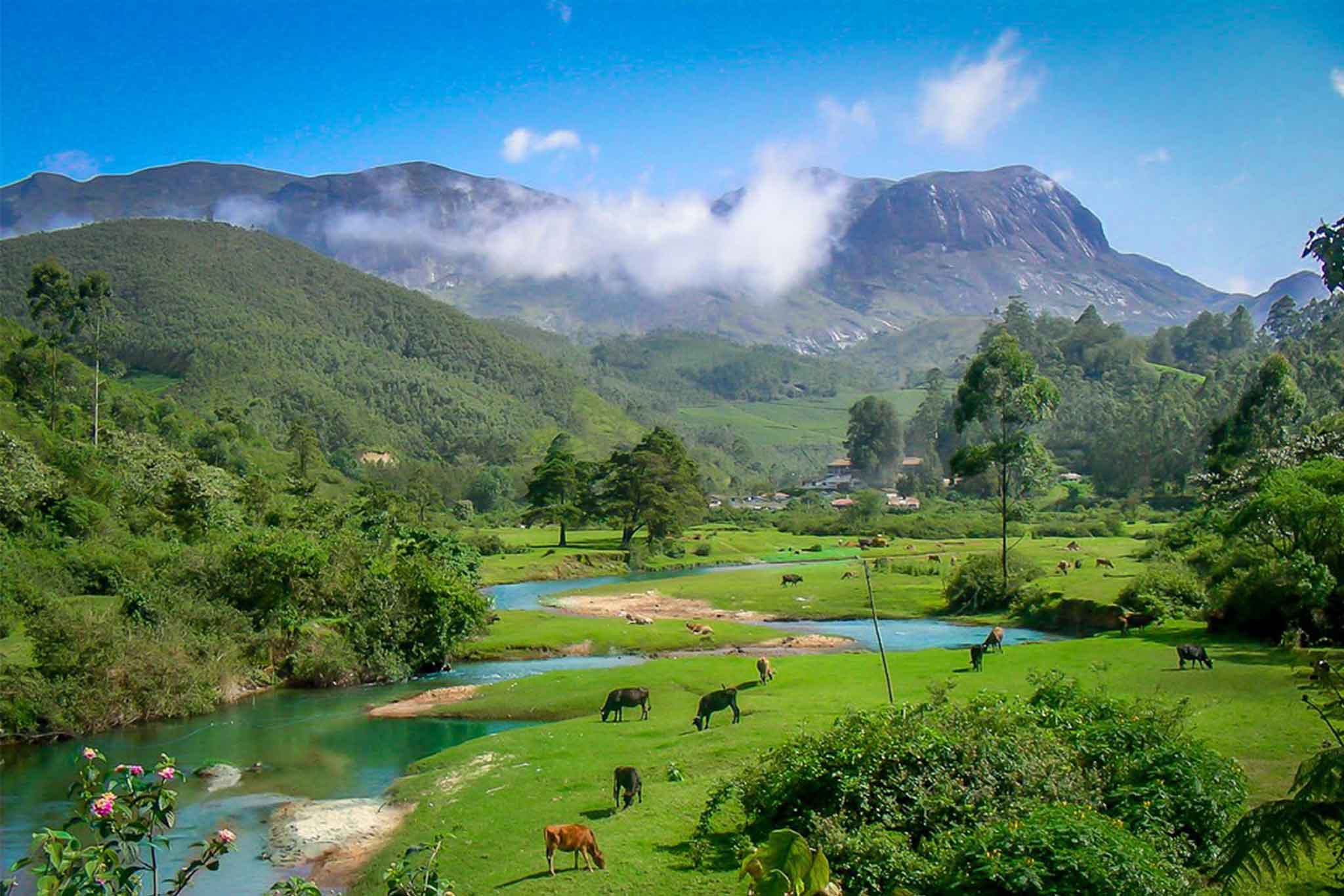 Anamudi Peak