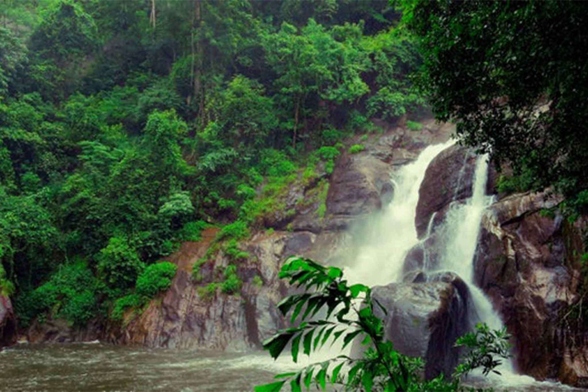 Mankkayam Falls