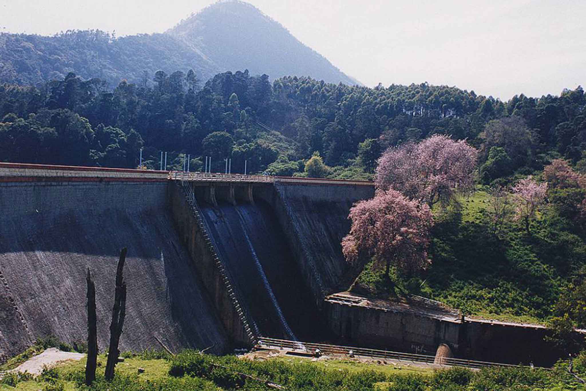 Mattupetty Dam