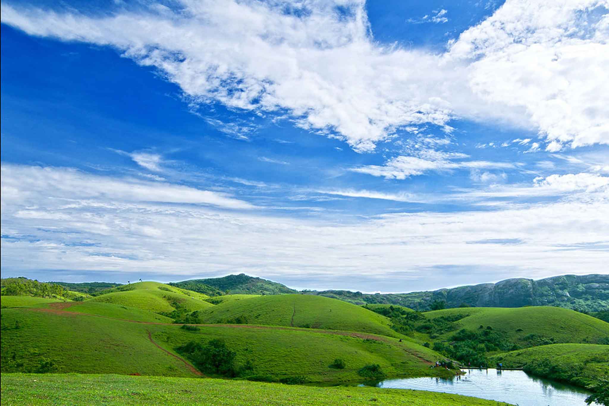 Vagamon Meadow