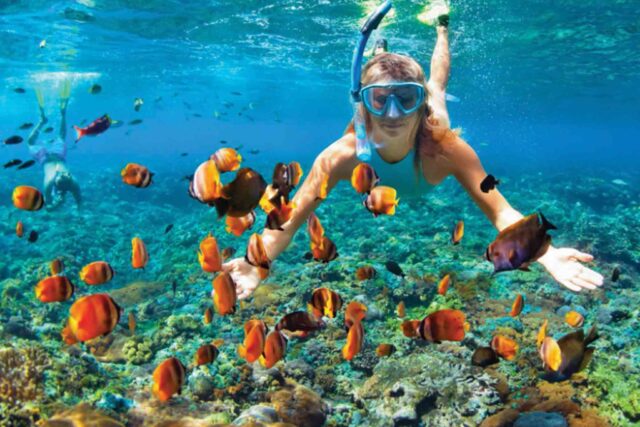 Snorkeling in Kerala